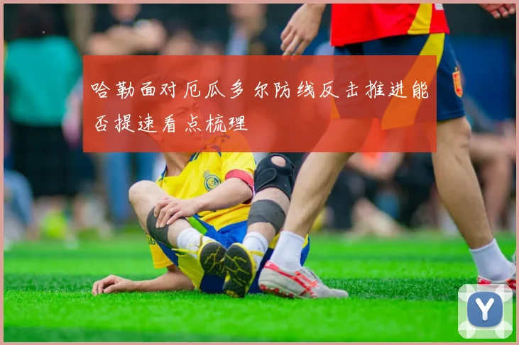 哈勒面对厄瓜多尔防线反击推进能否提速看点梳理