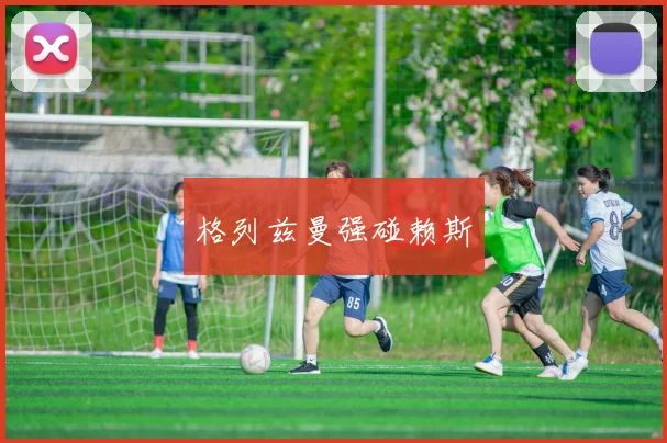 格列兹曼强碰赖斯