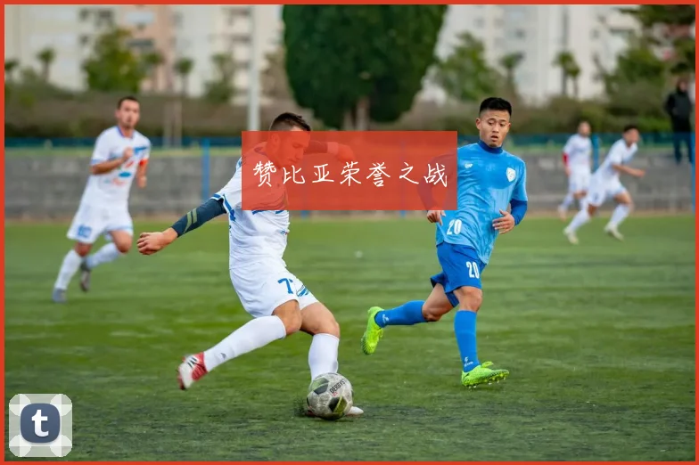赞比亚荣誉之战