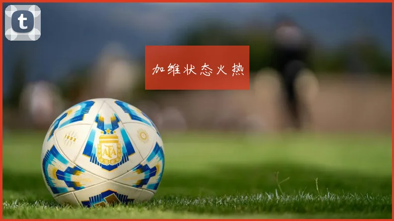 加维状态火热