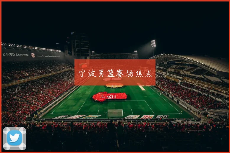 宁波男篮赛场焦点