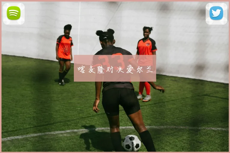 喀麦隆对决爱尔兰