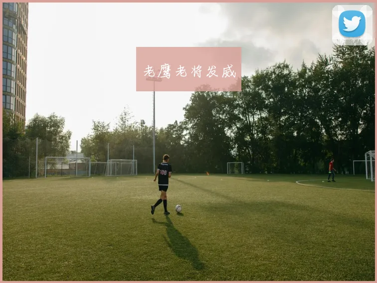 老鹰老将发威