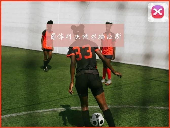 葡体对决帕尔梅拉斯