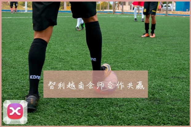 智利越南会师合作共赢