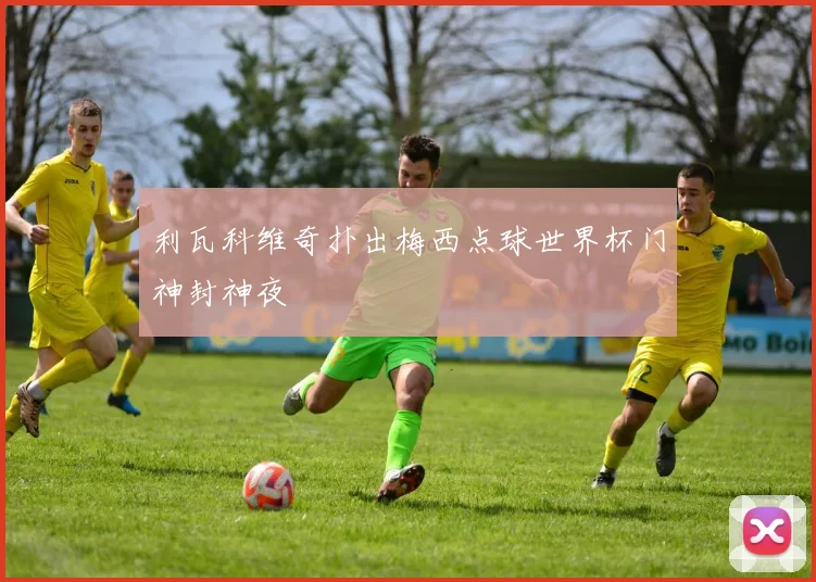 利瓦科维奇扑出梅西点球世界杯门神封神夜