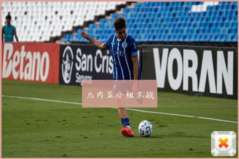 几内亚小组末战