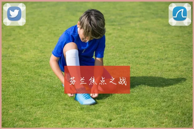 芬兰焦点之战