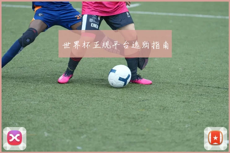 世界杯正规平台选购指南