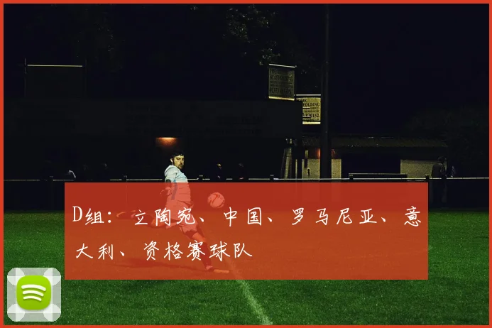 D组：立陶宛、中国、罗马尼亚、意大利、资格赛球队