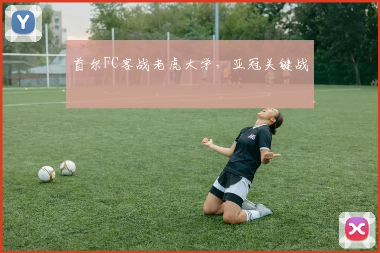 首尔FC客战老虎大学，亚冠关键战