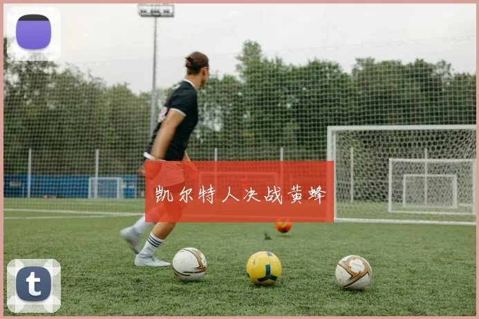 凯尔特人决战黄蜂