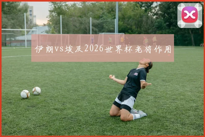 伊朗vs埃及2026世界杯老将作用