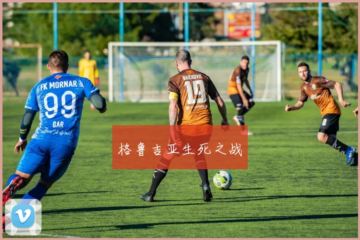格鲁吉亚生死之战