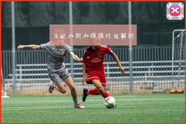 马达加斯加强强对话解析