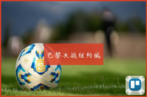 巴黎决战纽约城