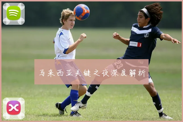 马来西亚关键之夜深度解析