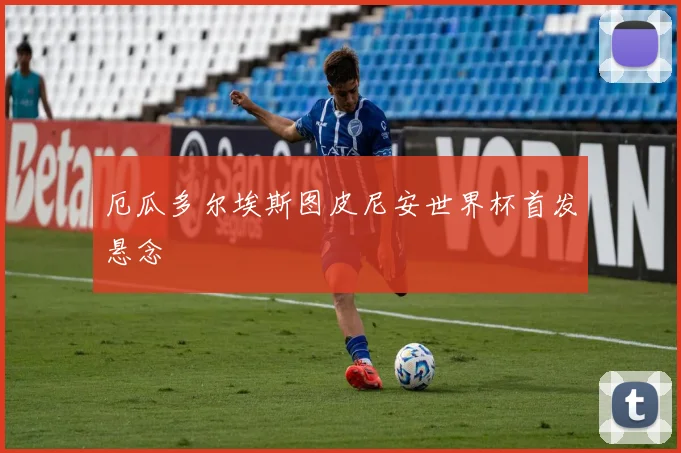 厄瓜多尔埃斯图皮尼安世界杯首发悬念