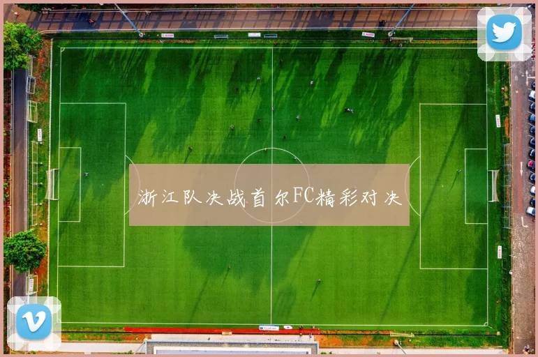 浙江队决战首尔FC精彩对决