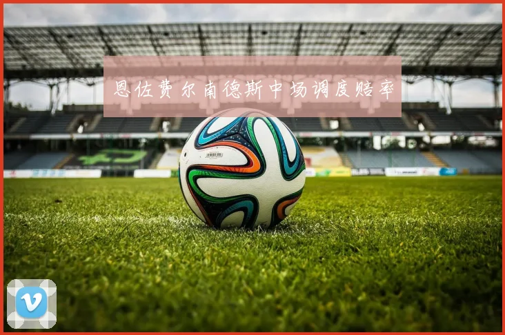 恩佐费尔南德斯中场调度赔率
