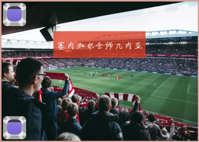 塞内加尔会师几内亚