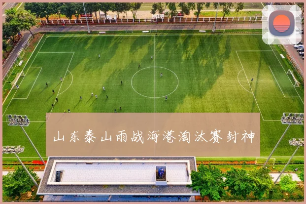 山东泰山雨战海港淘汰赛封神
