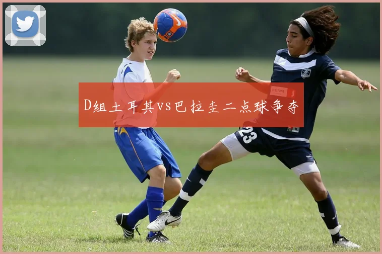 D组土耳其vs巴拉圭二点球争夺